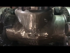 Valve de vérification d'altitude pour la vapeur d'eau et l'huile