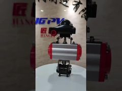 Ventilateur à bille pneumatique entraîné WCB NPT BSP à fil 3PC